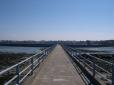  depuis le pont de l'embarcadère